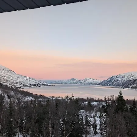 View Of Aurora Borealis * Tromsø