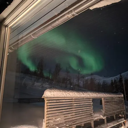 View Of Aurora Borealis