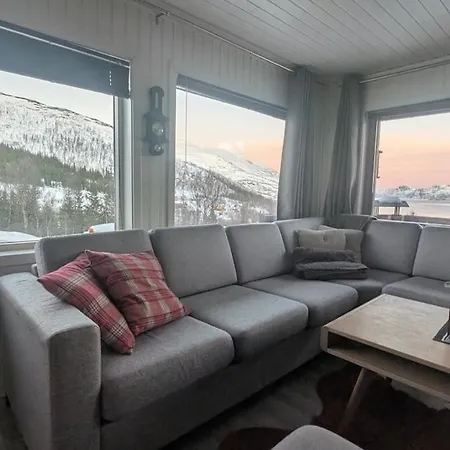 Appartement View Of Aurora Borealis