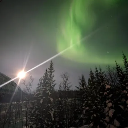 View Of Aurora Borealis Appartement *