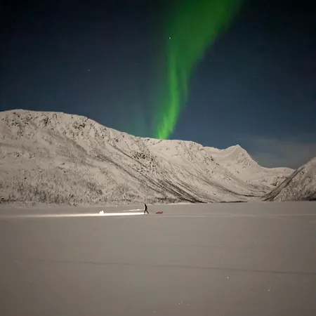 View Of Aurora Borealis Appartement Tromsø