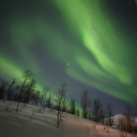 View Of Aurora Borealis * Tromsø