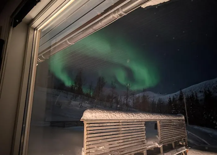 View Of Aurora Borealis