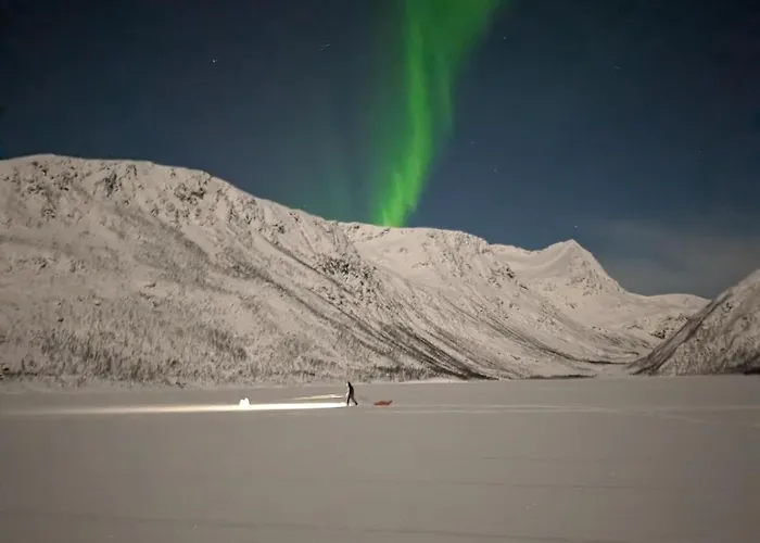 View Of Aurora Borealis Apartamento Tromsø