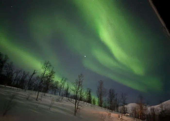 View Of Aurora Borealis * Tromsø