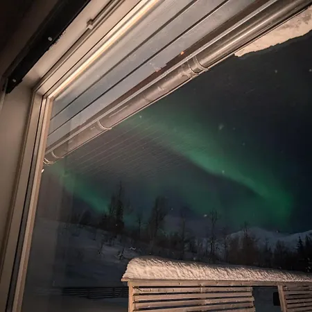 View Of Aurora Borealis *
